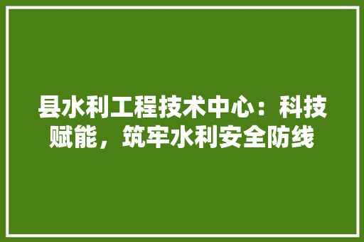 县水利工程技术中心：科技赋能，筑牢水利安全防线 卧室装修