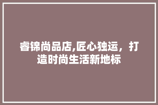 睿锦尚品店,匠心独运，打造时尚生活新地标 家居装修
