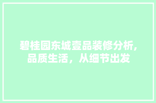 碧桂园东城壹品装修分析,品质生活，从细节出发 家居装修