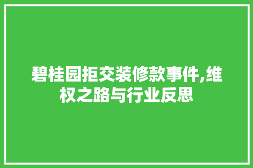 碧桂园拒交装修款事件,维权之路与行业反思