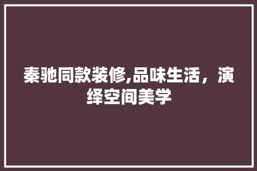 秦驰同款装修,品味生活，演绎空间美学 软装设计