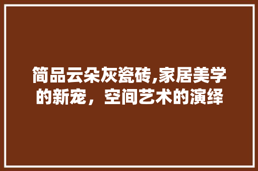 简品云朵灰瓷砖,家居美学的新宠，空间艺术的演绎