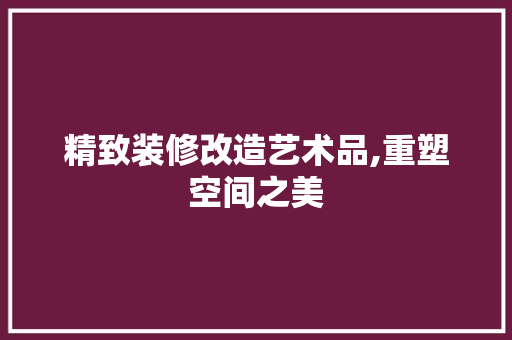 精致装修改造艺术品,重塑空间之美 客厅装修