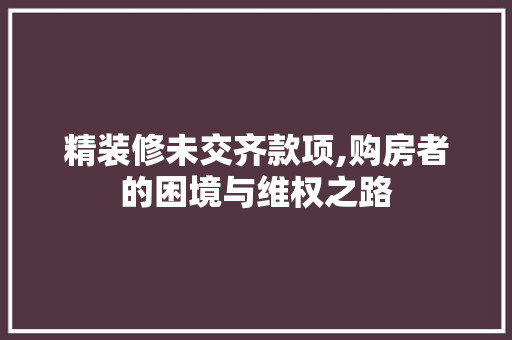 精装修未交齐款项,购房者的困境与维权之路 地板材料