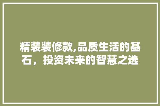 精装装修款,品质生活的基石，投资未来的智慧之选 现代风格装饰