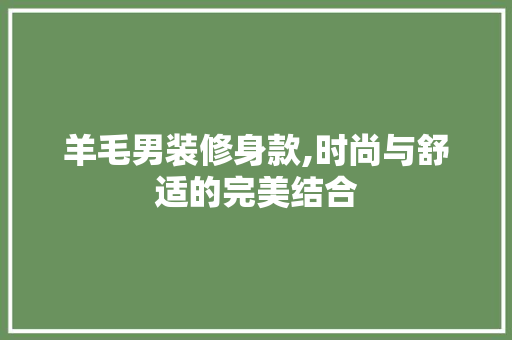 羊毛男装修身款,时尚与舒适的完美结合