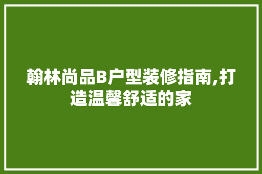 翰林尚品B户型装修指南,打造温馨舒适的家 家居装修