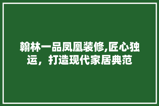 翰林一品凤凰装修,匠心独运，打造现代家居典范