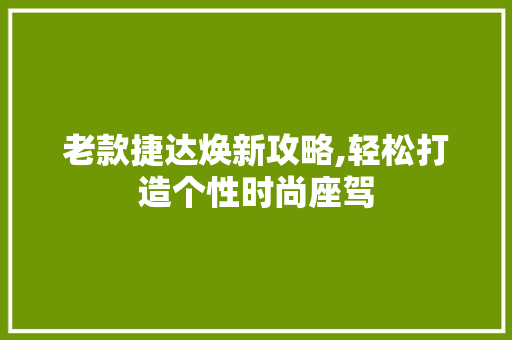 老款捷达焕新攻略,轻松打造个性时尚座驾 木雕艺术