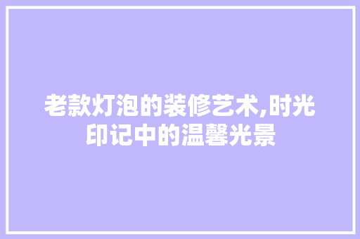 老款灯泡的装修艺术,时光印记中的温馨光景