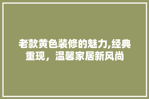 老款黄色装修的魅力,经典重现，温馨家居新风尚 中式风格装饰