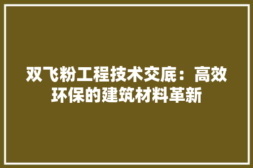 双飞粉工程技术交底：高效环保的建筑材料革新 卧室装修