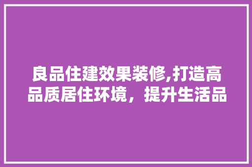 良品住建效果装修,打造高品质居住环境，提升生活品质