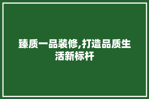 臻质一品装修,打造品质生活新标杆 客厅装修