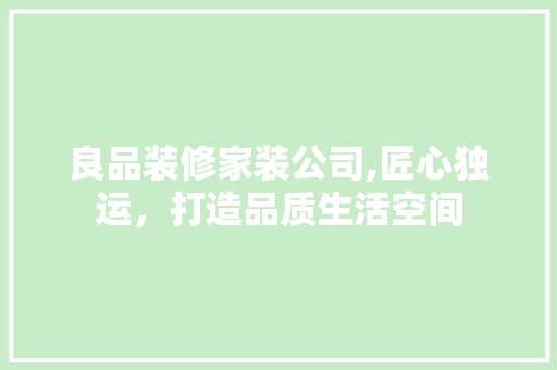 良品装修家装公司,匠心独运，打造品质生活空间 客厅装修
