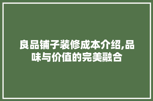 良品铺子装修成本介绍,品味与价值的完美融合