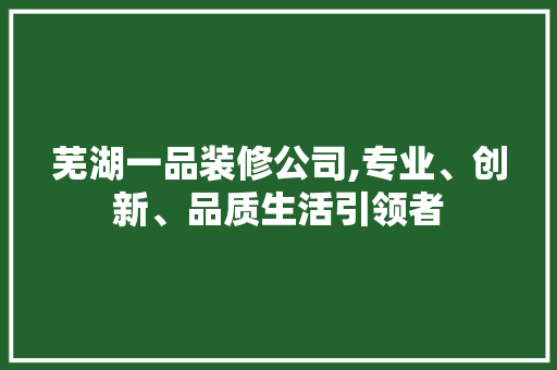 芜湖一品装修公司,专业、创新、品质生活引领者