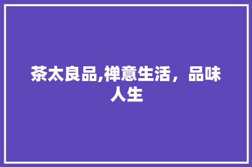 茶太良品,禅意生活，品味人生 中式风格装饰