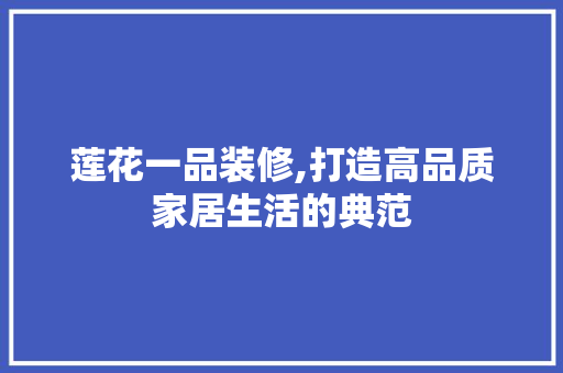 莲花一品装修,打造高品质家居生活的典范 软装设计