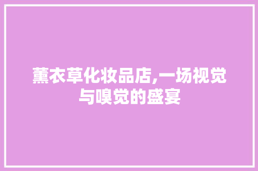 薰衣草化妆品店,一场视觉与嗅觉的盛宴 木雕艺术