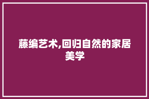 藤编艺术,回归自然的家居美学