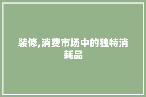 装修,消费市场中的独特消耗品 室内设计