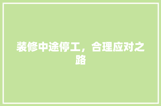 装修中途停工，合理应对之路 客厅装修