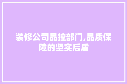 装修公司品控部门,品质保障的坚实后盾