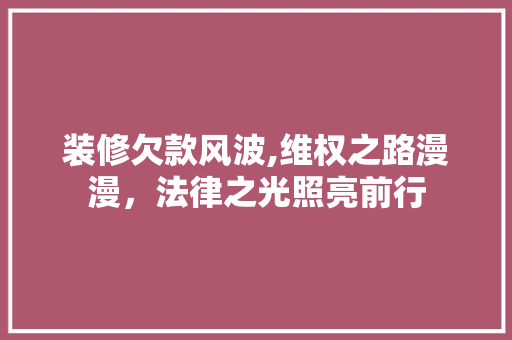 装修欠款风波,维权之路漫漫，法律之光照亮前行