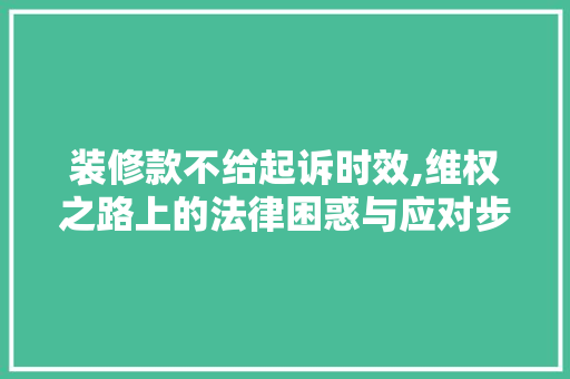 装修款不给起诉时效,维权之路上的法律困惑与应对步骤