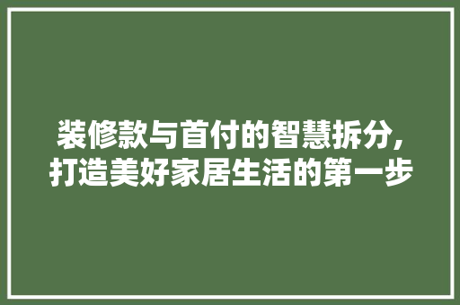 装修款与首付的智慧拆分,打造美好家居生活的第一步 客厅装修