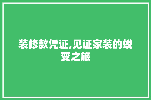 装修款凭证,见证家装的蜕变之旅