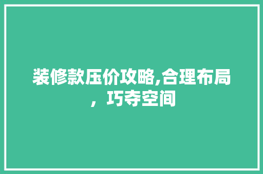 装修款压价攻略,合理布局，巧夺空间