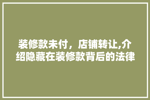 装修款未付，店铺转让,介绍隐藏在装修款背后的法律风险与应对步骤 中式风格装饰