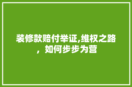 装修款赔付举证,维权之路，如何步步为营 木雕艺术