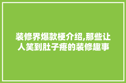 装修界爆款梗介绍,那些让人笑到肚子疼的装修趣事 中式风格装饰