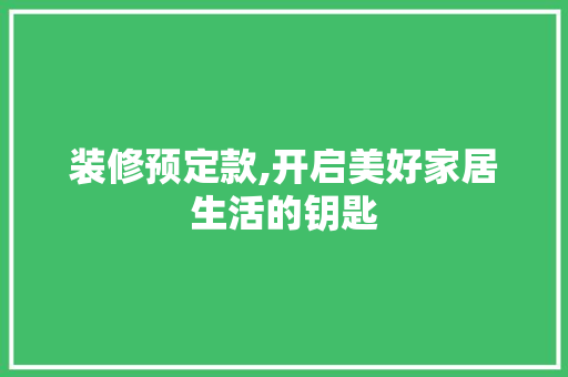 装修预定款,开启美好家居生活的钥匙 软装设计