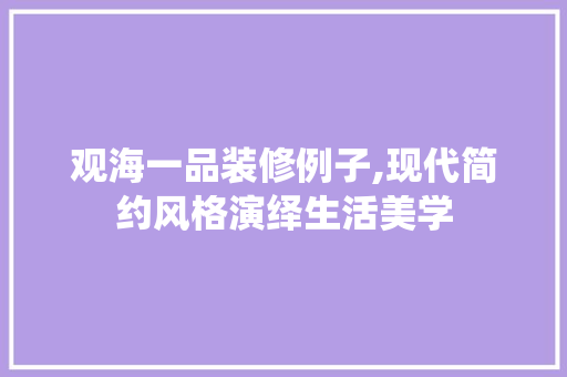 观海一品装修例子,现代简约风格演绎生活美学