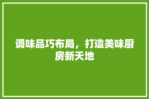 调味品巧布局，打造美味厨房新天地 客厅装修