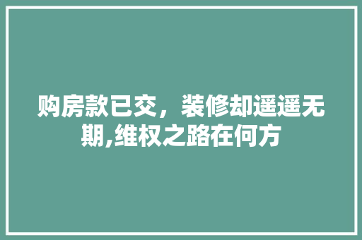 购房款已交，装修却遥遥无期,维权之路在何方 中式风格装饰