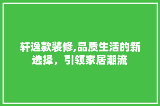 轩逸款装修,品质生活的新选择，引领家居潮流 软装设计