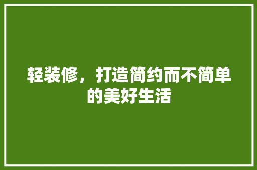 轻装修，打造简约而不简单的美好生活 室内设计