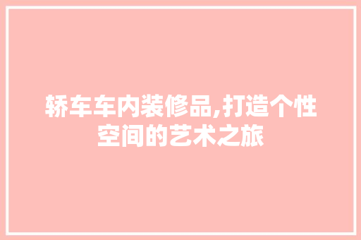 轿车车内装修品,打造个性空间的艺术之旅 现代风格装饰