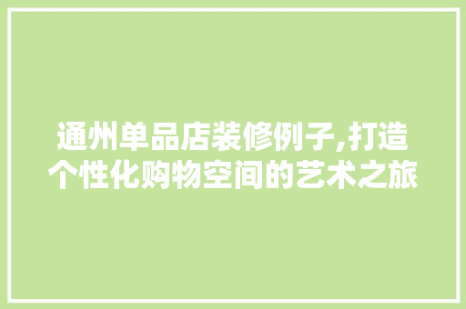 通州单品店装修例子,打造个性化购物空间的艺术之旅 现代风格装饰