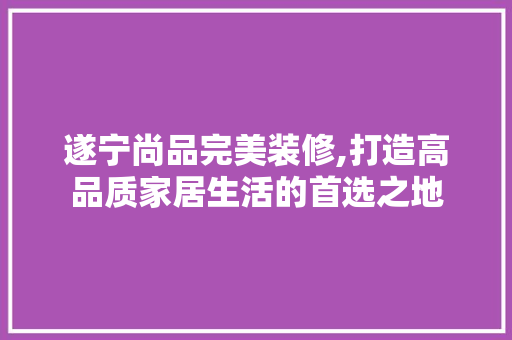 遂宁尚品完美装修,打造高品质家居生活的首选之地 软装设计