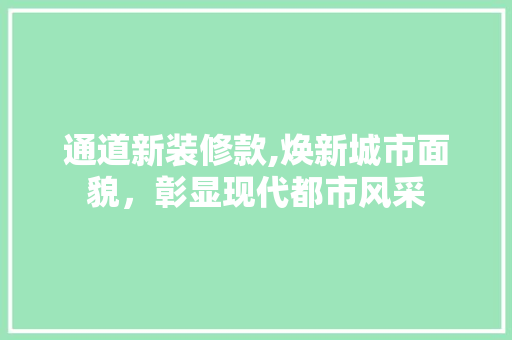 通道新装修款,焕新城市面貌，彰显现代都市风采 家居装修
