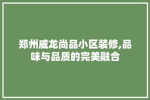 郑州威龙尚品小区装修,品味与品质的完美融合 家居装修