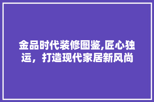 金品时代装修图鉴,匠心独运，打造现代家居新风尚 现代风格装饰