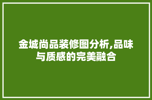 金城尚品装修图分析,品味与质感的完美融合