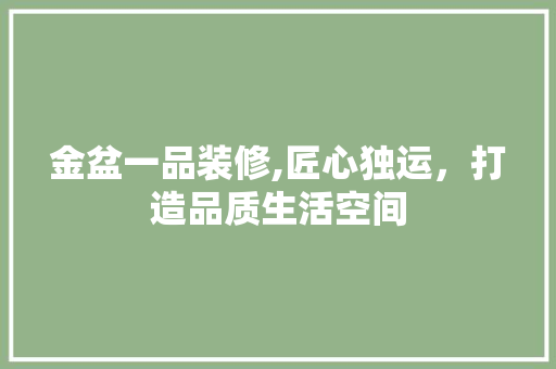 金盆一品装修,匠心独运，打造品质生活空间 家居装修
